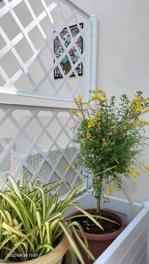 Villa Con Piscina Uso Esclusivo Mazara del Vallo Luaran gambar